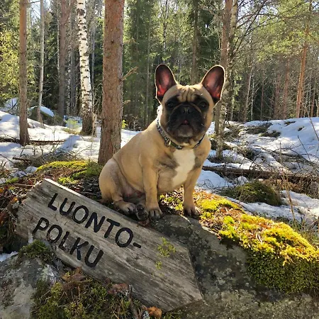 Just -lovely Finnish Woodhouse Дом отдыха *